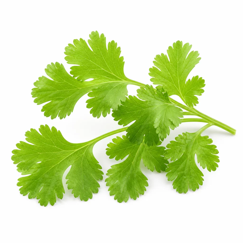 Herb Garnishes